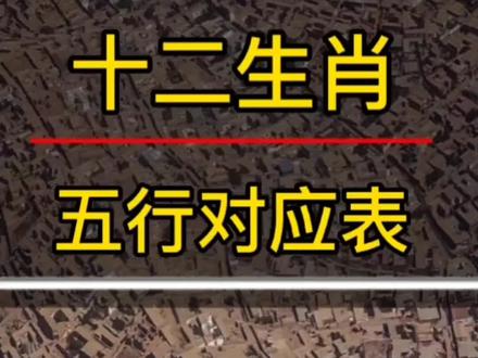 你的生肖是什么五行?#十二生肖