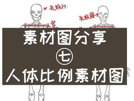 素材图分享㊆。人体比例素材图#绘画 #素材