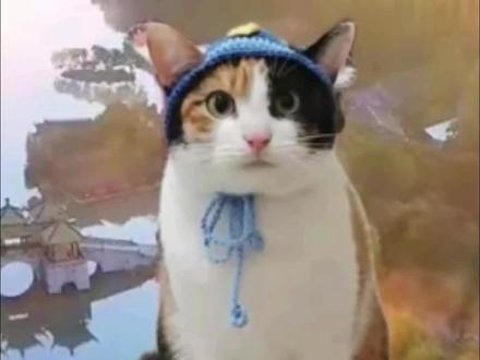 蒸蚌!纸巾猫咪勇闯新赛道!猫咪素材:超级无敌大开门。#纸巾萝卜 #大笨猫 #山东文旅 #米老鼠 #萝卜纸巾猫咪