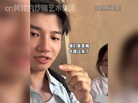 谁懂它嗡地一下飞来又嗡地一下飞走 #柯铭 #哈尼 #宠物 #猎奇