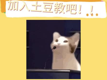 你爱吃土豆吗?爱吃就来加入我们土豆教吧!!#土豆教 #土豆门永存 #土豆