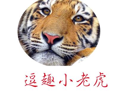 火柴人战争:超级火焰巨人出击,与黄金矛士针锋相对