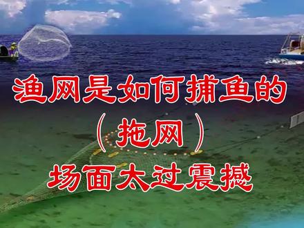渔网的捕鱼原理之拖网,一次可捕鱼数吨,太震撼 #涨知识 #渔民 #科普一下 #渔船出海 #保护海洋 #渔民日常