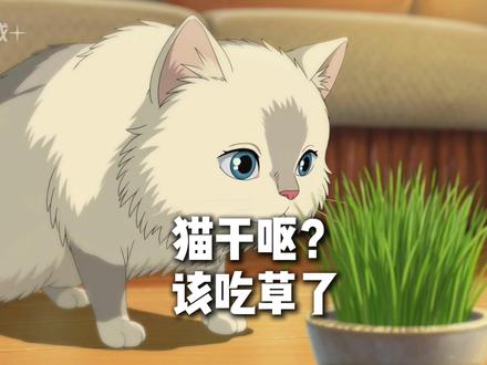 猫咪干呕乱啃东西不是调皮,是在拼命告诉你: 它需要吃草!#猫咪干呕 #猫草 #毛球症 #养猫必看 #猫咪吃草