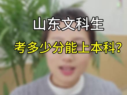 山东文科生考多少分能本科#山东高考 #学业规划 #烟台学业规划