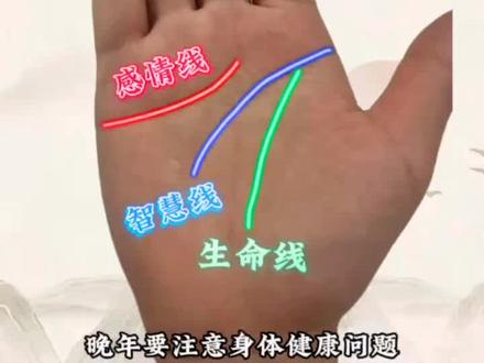 从这位两个小孩的女粉丝的手掌纹来看感情线中间有断开,说明在感情上你可能会遭遇比较大挫折,婚姻失败的可能性非常的大,建议晚婚比较好。智慧线下垂,记忆力好,处理事情的决断力强,考虑问题也很周全,但是想的太多,精神压力也会比较大,要多注意调节。生命线生的还不错,清晰深长,只是末端不清晰,晚年要注意身体健康问题。#掌纹的秘密 #看看你是什么手型 #手掌纹