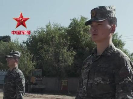 汪汪队训练视频大曝光!#军犬