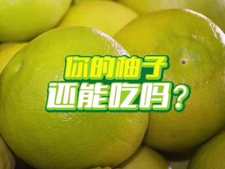 柚子的实用冷知识(一),辨别你的柚子还能吃吗?#生活小妙招 #助农 #dou知计划 @抖音小助手