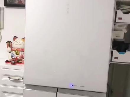 小户型实用冰箱,松下NR-TE45ATX-W,435升!#小家电