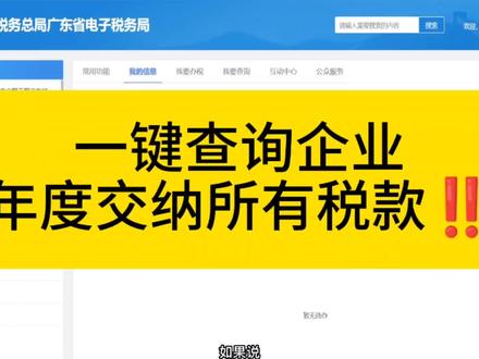 想知道企业一年缴纳多少税款?一键汇总方便快捷!#会计 #会计实操 #财税