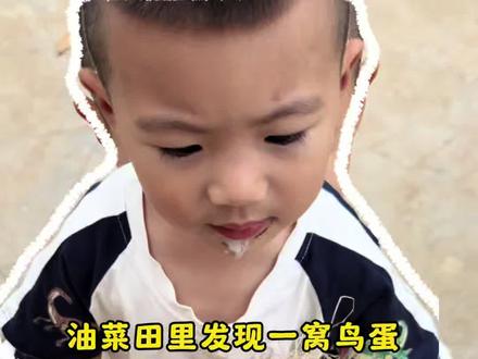 收割油菜又发现一窝鸟蛋 #鸟窝 #乡村生活
