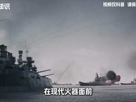 人类为什么几乎不吃食肉动物? #科普 #动物 #抖音知识年终大赏 #青年创作者成长计划 #保护动物