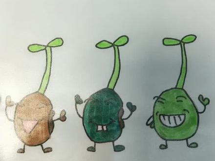 #手抄报小小 豆芽成长记