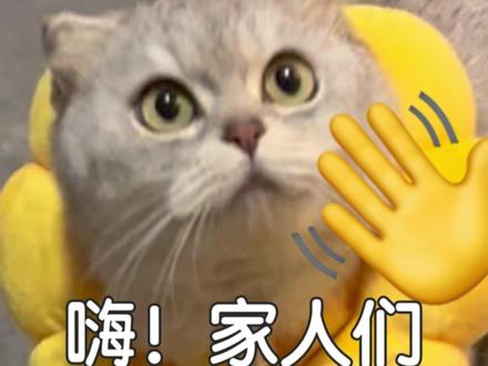 这样省钱真的太绝了#闲鱼 #00后的年货闲鱼买 #家居好物 #万万没想到