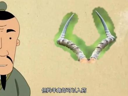 中医成语故事(13)丨羚羊挂角#中医人原创动漫