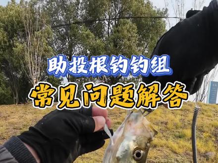 助投器根钓钩钓组问题解析 回答一下一些钓友关于这个钓组的疑问#路亚野钓 #路亚 #助投器 #助投器根钓钩 #好东西晒点大会