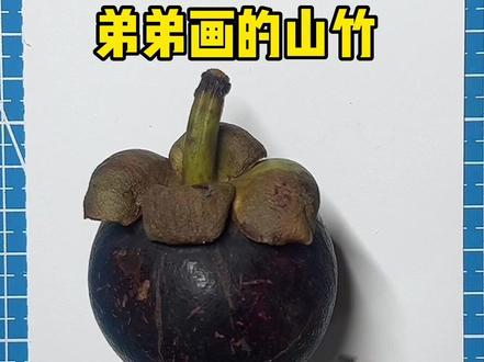 弟弟画的山竹和我用幼儿园油画棒画的山竹,你喜欢谁画的?#人类艺术行为图鉴 #油画棒 #画画教程