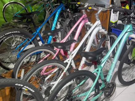 分享維多利亞女款車