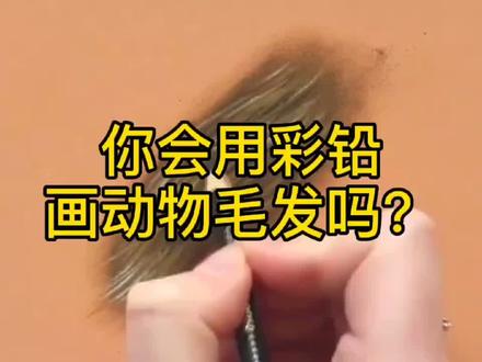 #彩铅#画画 #美术 #遇见艺术 动物毛发画法~反正就是先这样后那样就画完啦~