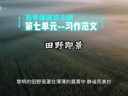五年级语文上册第七单元习作:“田野即景”范文500字!#大自然美景 #五年级语文 #五年级上册语文 #作文 #创作者扶持计划