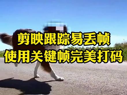 剪映自动跟踪容易丢帧,教你用关键帧完美跟随打码 #剪映跟踪 #剪映打码 #剪映关键帧动画 #剪映新手教程