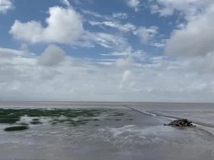 和同学一起游美丽的横沙岛东滩湿地