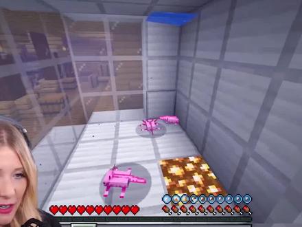 我的世界:美西螈能进化?从迷你变成肌肉美西螈,只需要击杀怪物