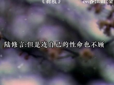 陆修文:我家师弟心最心软了,不能让他伤心 #折枝 #广播剧 #声优都是怪物