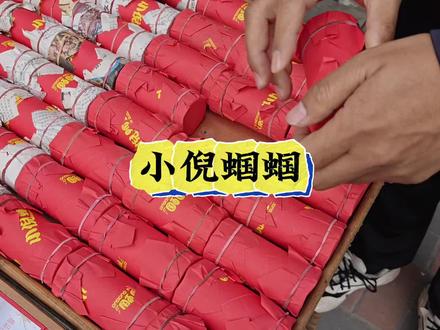 总算盼到小倪的野籽蝈蝈上市了! #蝈蝈 #鸣虫文化