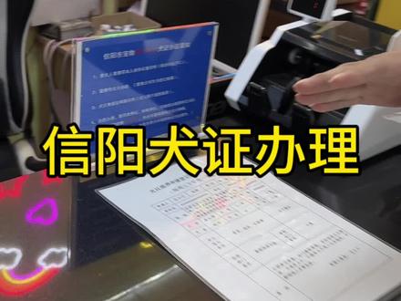 大家有需要办理狗证的请看这里#尼可宠物,视频里需要的材料准备齐即可到店办理。#犬证办理 #狗证 #信阳狗证#信阳狗证办理