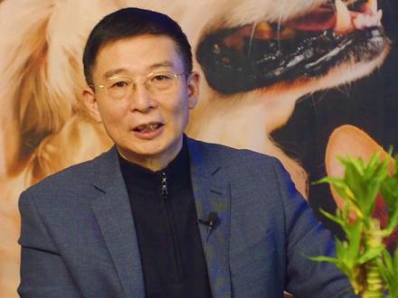 狗狗受到惊吓怎么办?#狗狗行为心理 #狗狗 #宠物知识