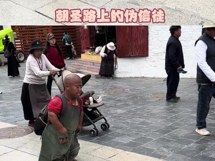 即便真的有神明,神明也不会庇佑你!#朝圣者 #小狗 #正能量
