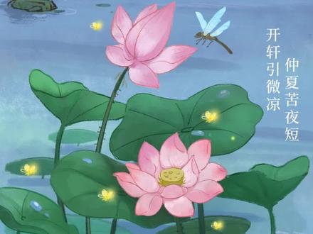 夏至还有这些习俗,吃夏至蛋#传统文化 #民俗文化 #夏至 #二十四节气