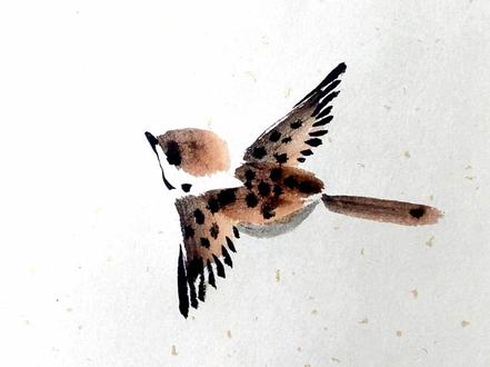 简单易学的《麻雀画法》,你学会了吗?#零基础国画 #国画入门教学 #谁说国画不抖音