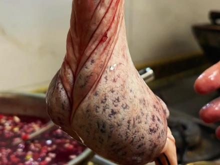 #血肠 #美食教程 自己灌也挺麻烦的