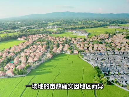 一垧地为多少亩
#科普