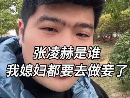 张凌赫是谁?我只认识王心凌#80后 #中年大叔 #日常分享