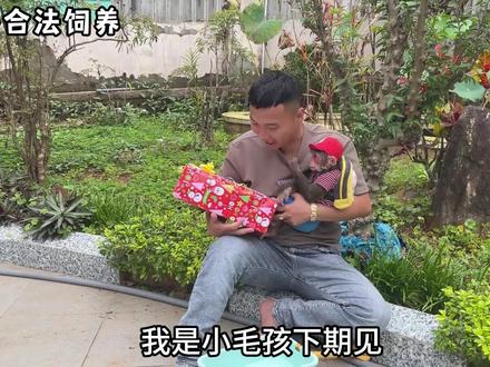小猴子想过圣诞节,跟爸爸要钱,去镇上买玩具车 #猴子成精 #野生动物 #萌宠出道计划