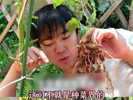 到底是怎么想出这种邪修种菜的啊#种植 #种菜 #万万没想到