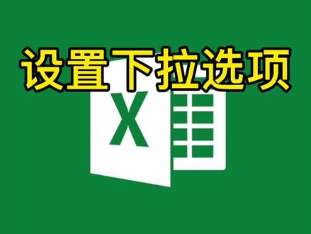 Excel表里面设置下拉选项@DOU+小助手 @抖音小助手 #excel办公技能 #excel筛选