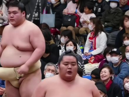日本相扑力士 大关琴樱#日本#运动#格斗