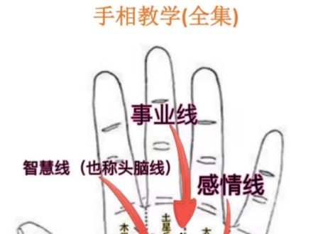 #掌纹的秘密 #手掌纹 #看看你是什么手型 生命线的弧度大小代表这个人的性格不同