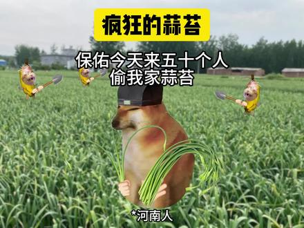 来都来了,一定要多来亿点!!! #猫meme #蒜苔 #dnf手游 #DNF手游二周年庆 #DNF手游二周年发布会