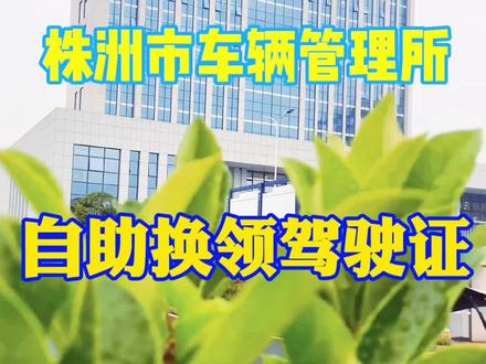 自助驾驶证换证补证!