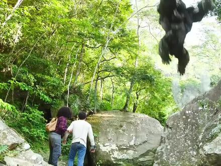 动物变形金刚没有不厉害的