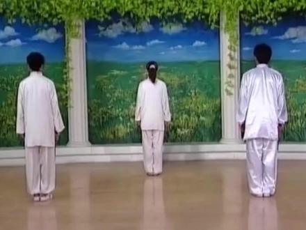 第一套太极功夫扇背面完整演练 #太极 #中华武术博大精深 #太极扇