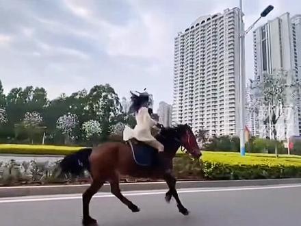 马可不可以在马路上跑?答案来了!#后续 在广西北海市区道路上骑马的女子,被警方约谈了!