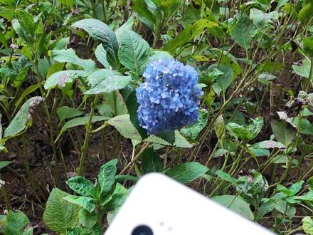 真我GT8Pro专业视频log模式,如何获取Lut?#realme #真我 #真我gt8pro #手机摄影 #视频调色