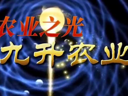 土壤上的白毛和墙体上的白毛到底是什么?