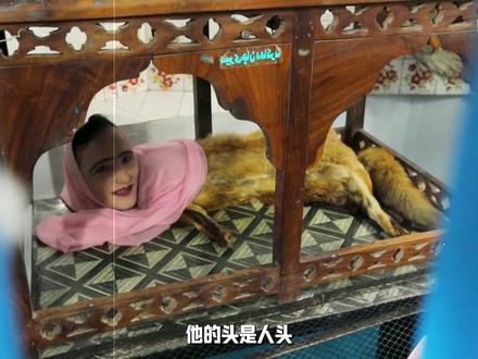 他的头是人头身体却是狐狸的,村里人都叫他狐妖 #纪录片 #奇葩 #万万没想到 #印度